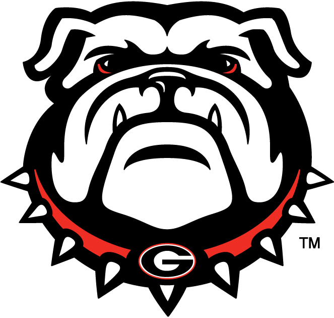 Georgia Bulldogs 2013-Pres Secondary Logo diy fabric transfer